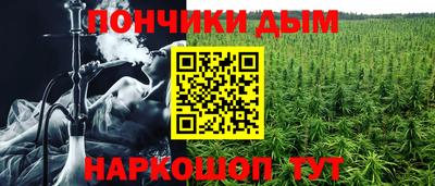 гидра Шелехов